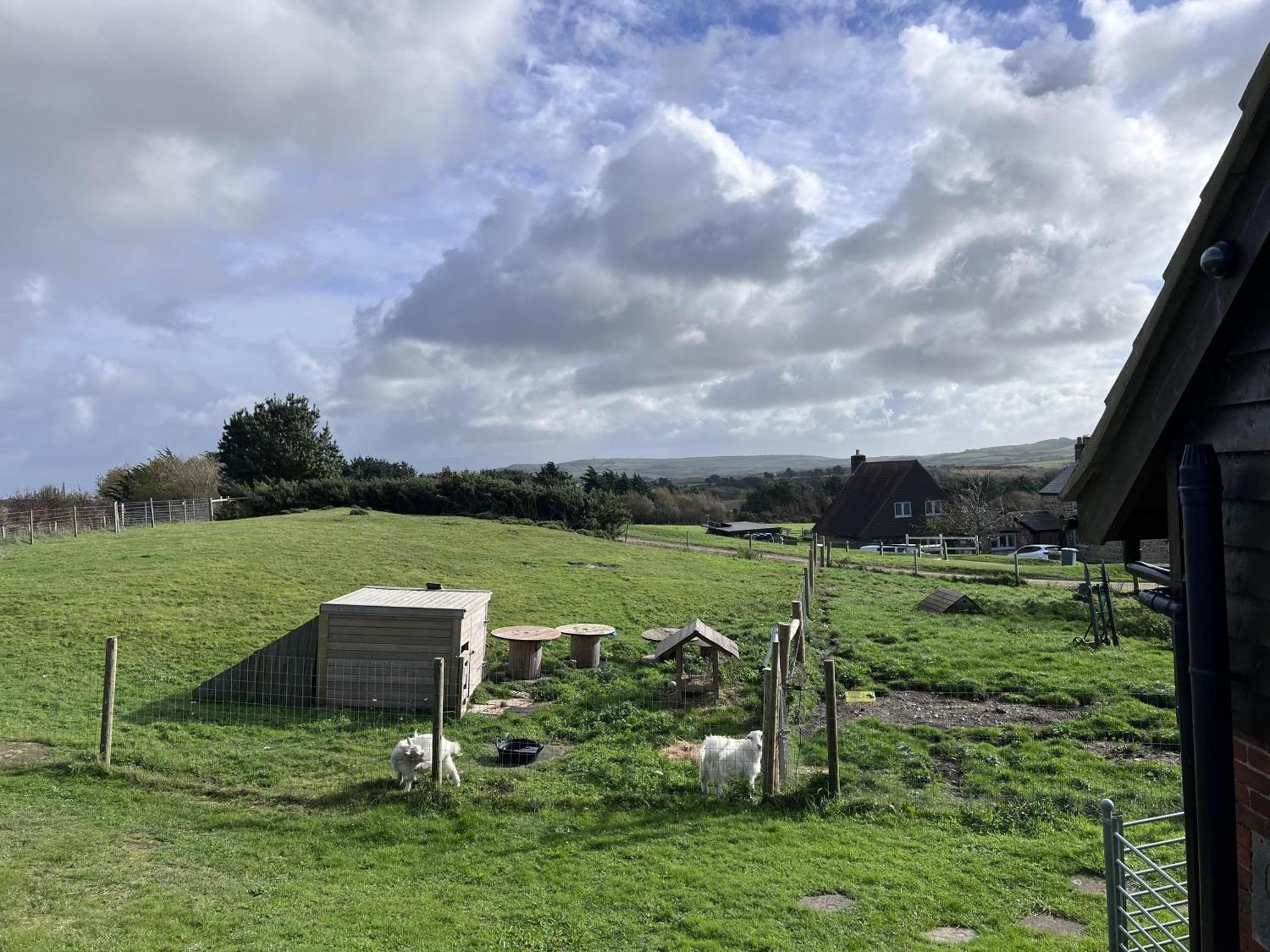 Poachers Hut - Captivating 1-Bed Cottage Shorwell Exterior photo